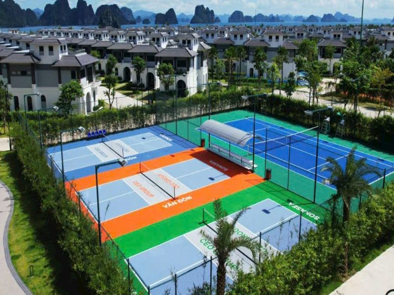  Mẫu sân pickleball đạt chất lượng tại TP.HCM