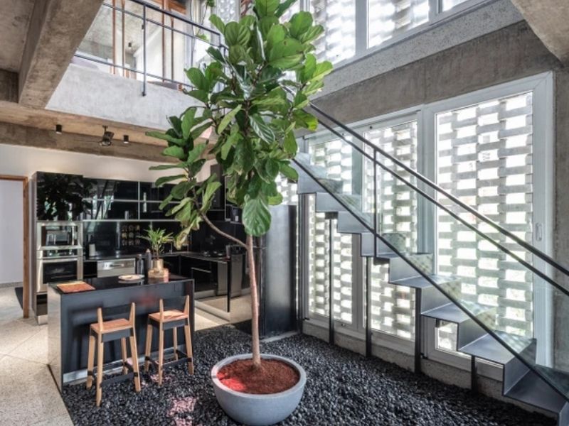  Thiết kế lấy sáng tự nhiên mang đến cảm giác rộng rãi, thông thoáng cho không gian nhà phố