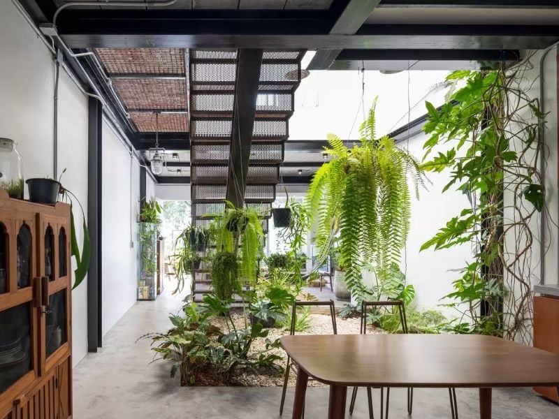  Mẫu thiết kế nhà phố lấy sáng tự nhiên đẹp, hiện đại