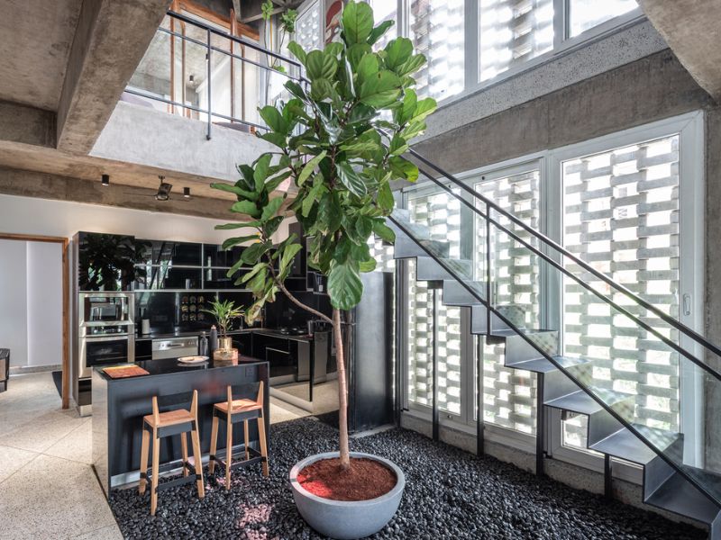  Mẫu thiết kế nhà phố thông gió tự nhiên đẹp, tối ưu chi phí