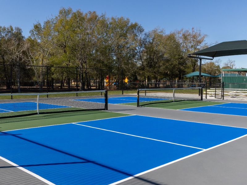  Thi công sân pickleball cho người mới chơi chất lượng