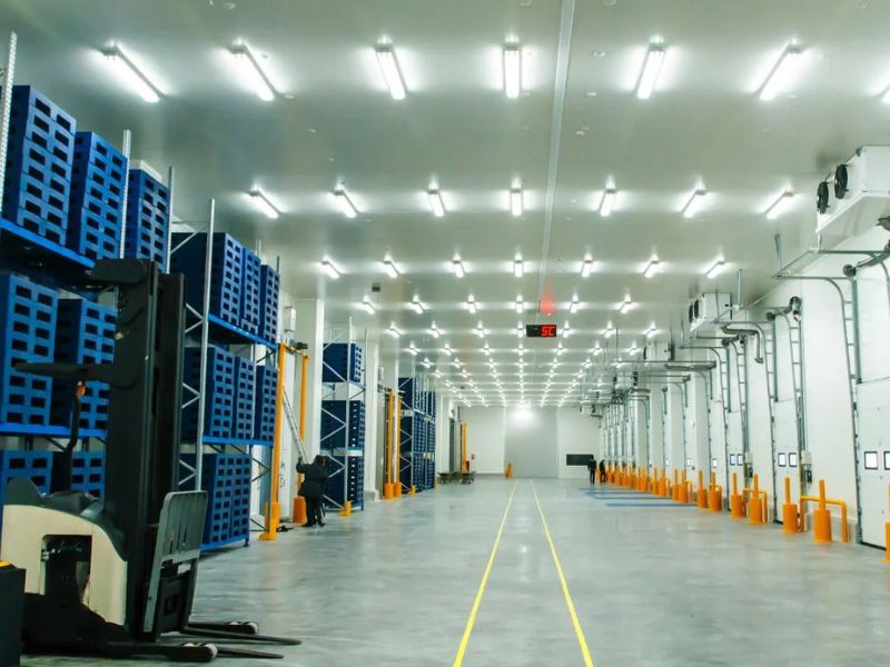  Quy định mới nhất của pháp luật về thi công panel kho lạnh