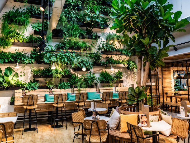  Giải pháp thiết kế nhà hàng xanh biophilic tối ưu chi phí
