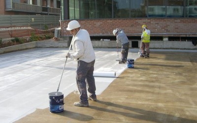 Thi công sơn chống thấm dột nhà xưởng: Những sai lầm khiến công trình nhanh hỏng