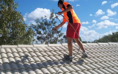 Cập nhập báo giá sơn phủ mái ngói mới nhất 2025